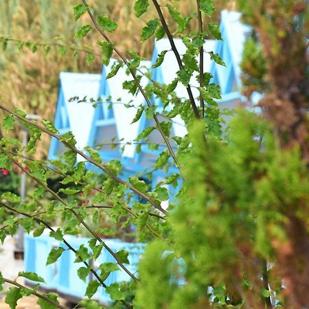 Cflow Beach Resort Byblos Zewnętrze zdjęcie